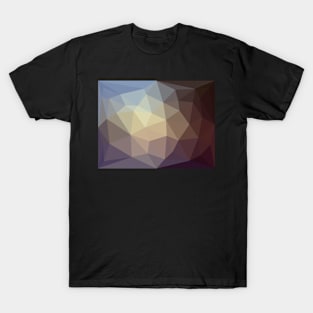 Brown and Blue Triangles T-Shirt